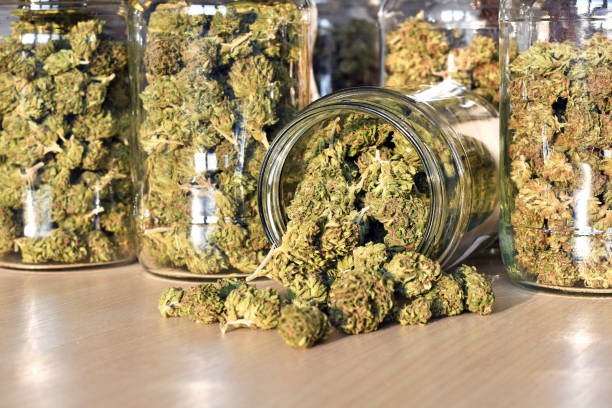 weed