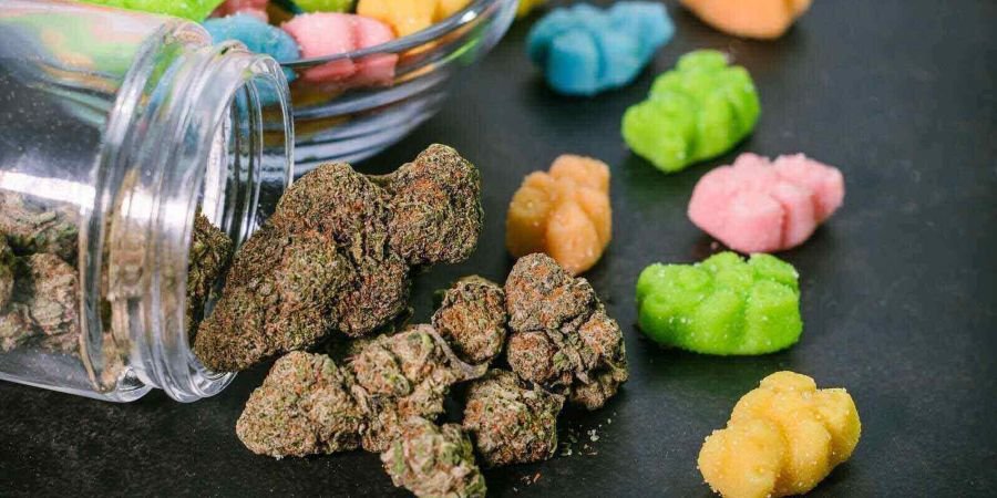 weed gummies